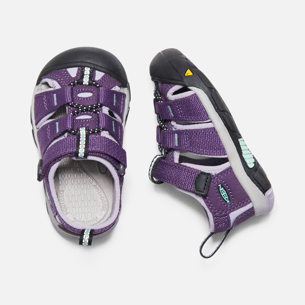 Sandales Keen Enfant Violette | Newport H2 | CXIFO-0173